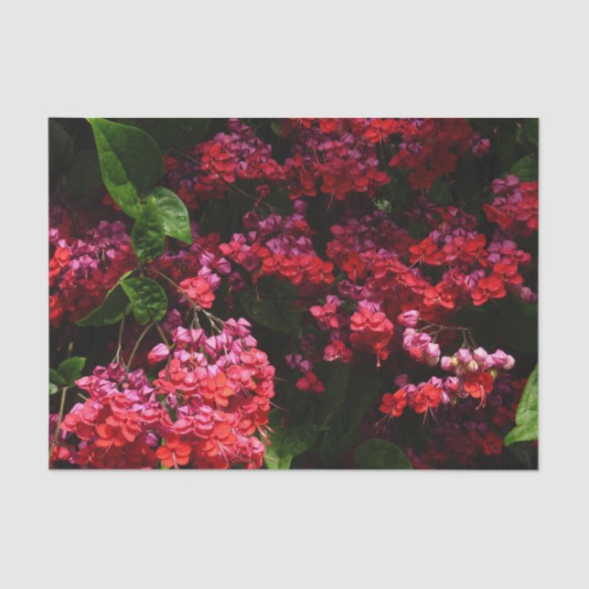 Pagoda Flowers Colourful Red and Pink Tissue Paper (Front)