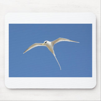Paille birds in Queue Mauritius Mouse Mat