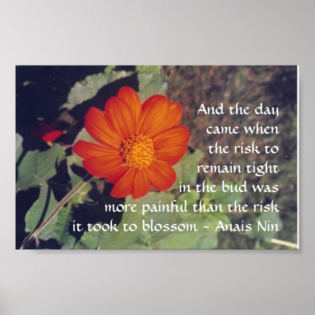 Pain and Risk - Anais Nin - poster (Front)