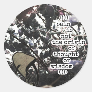 pain is not the origin of thought or wisdom classic round sticker