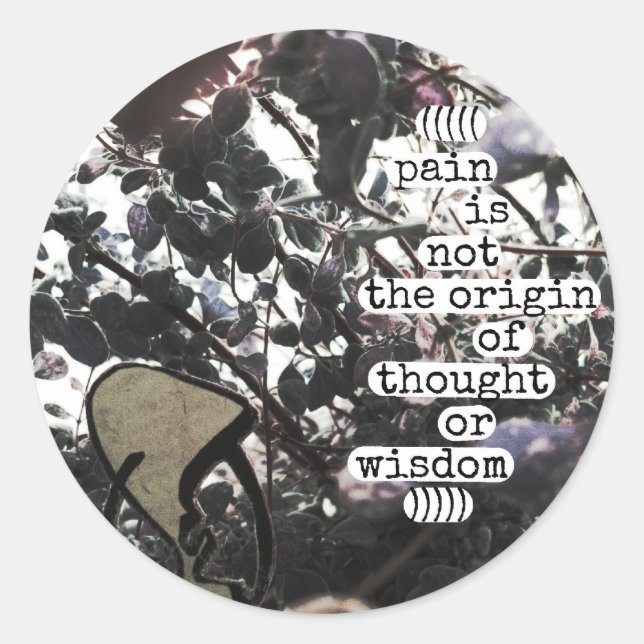 pain is not the origin of thought or wisdom classic round sticker (Front)