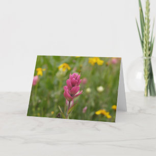 Paint Brush-Rosy 05 004 Card