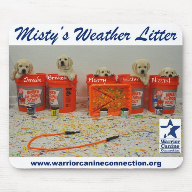 Paint Bucket Puppies Mouse Mat (Front)