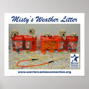 Paint Bucket Puppies Poster