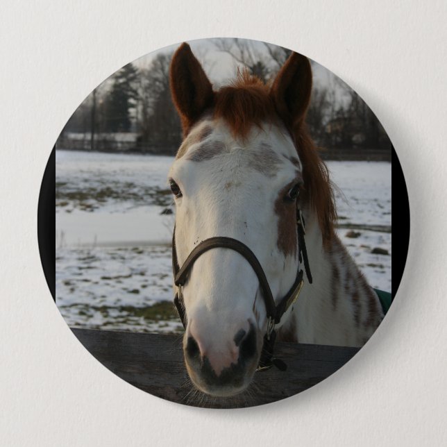 Paint Button (Front)