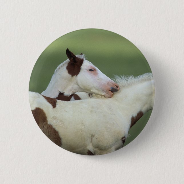 Paint Foals Playing 6 Cm Round Badge (Front)
