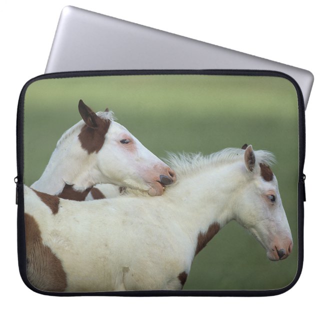 Paint Foals Playing Laptop Sleeve (Front)