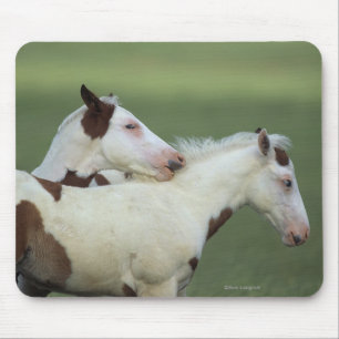 Paint Foals Playing Mouse Mat