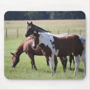 Paint Horse and Friends Mouse Mat