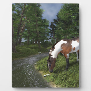 Paint Horse by Forest Stream Plaque