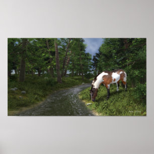Paint Horse by the Forest Stream Poster