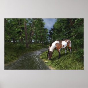 Paint Horse by the Forest Stream Poster