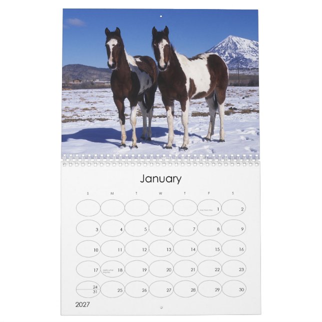 Paint Horse Calendar (Jan 2027)