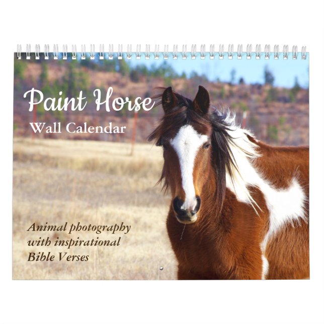 Paint Horse Calendar 2025 Animal Photography (Cover)