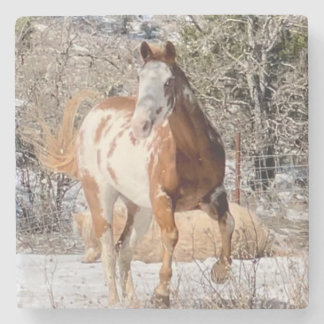 Paint Horse Coaster