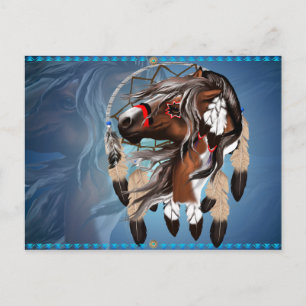 Paint Horse Dreamcatcher Postcard