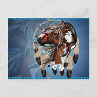 Paint Horse Dreamcatcher Postcard