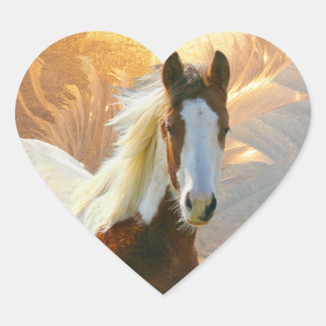 Paint Horse Gold Heart Stickers (Front)