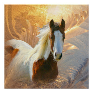 Paint Horse Gold Perfect Poster