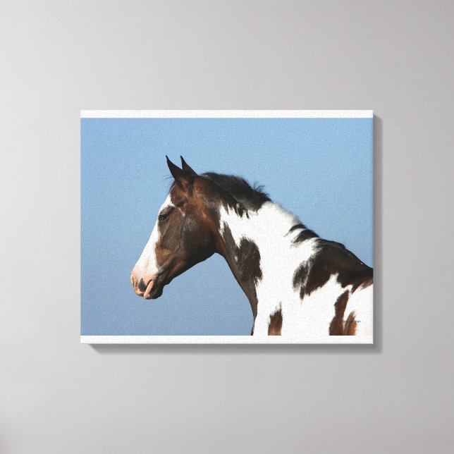 Paint Horse Headshot 1 Canvas Print (Front)