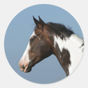 Paint Horse Headshot 1 Classic Round Sticker