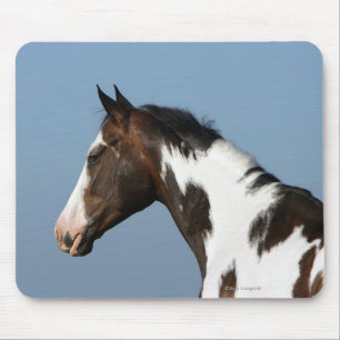 Paint Horse Headshot 1 Mouse Mat