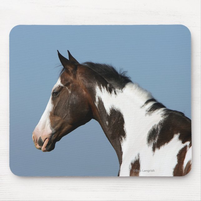 Paint Horse Headshot 1 Mouse Mat (Front)