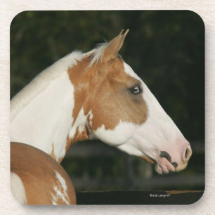 Paint Horse Headshot 2 Coaster