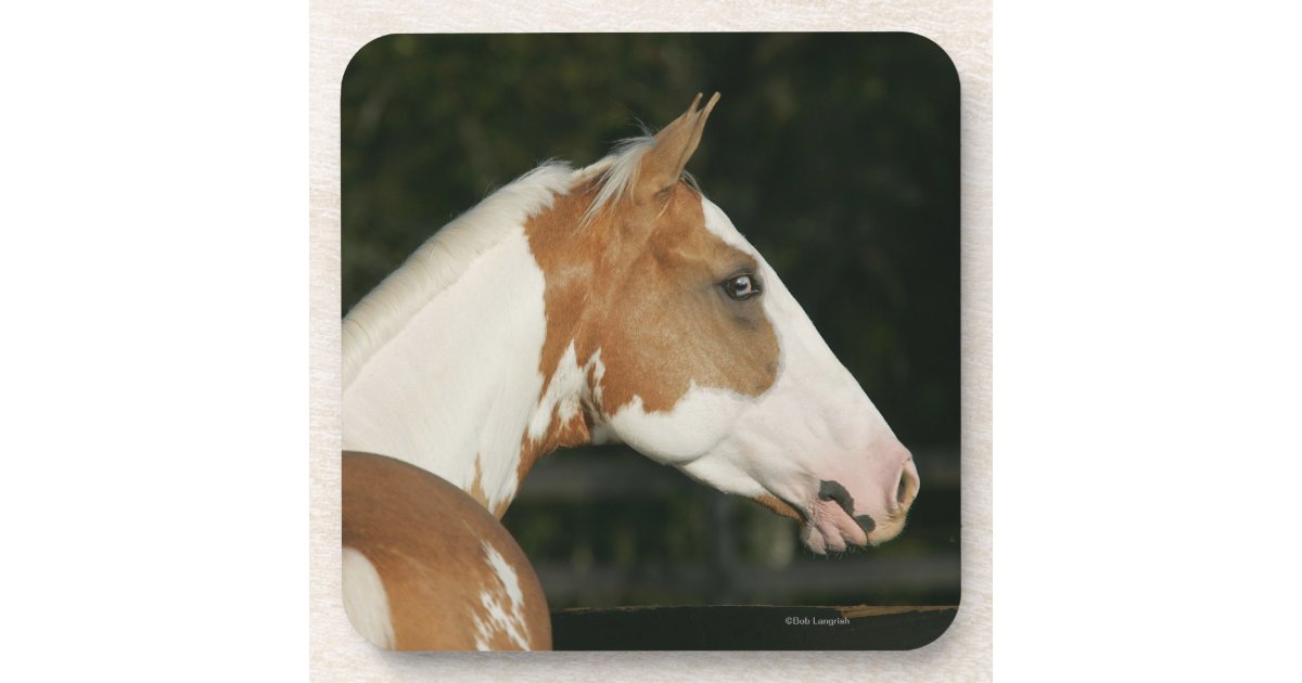 Paint Horse Headshot 2 Coaster Zazzle