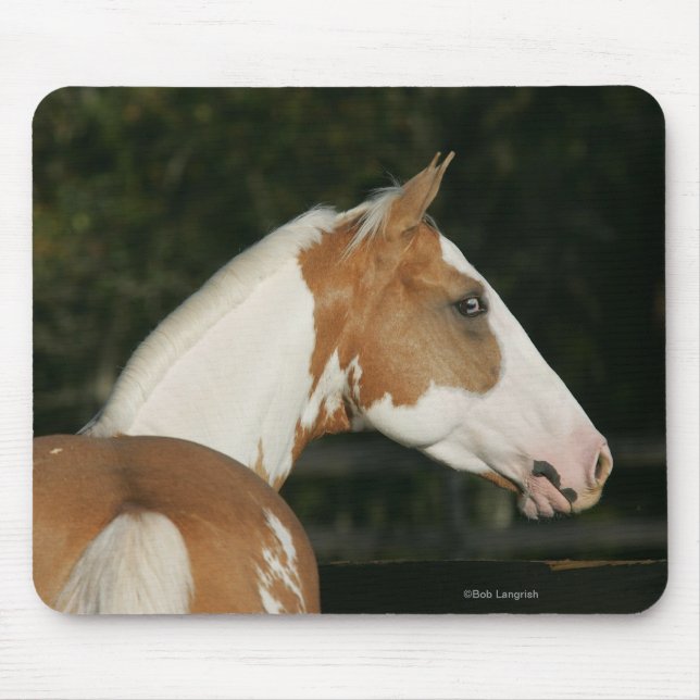 Paint Horse Headshot 2 Mouse Mat (Front)