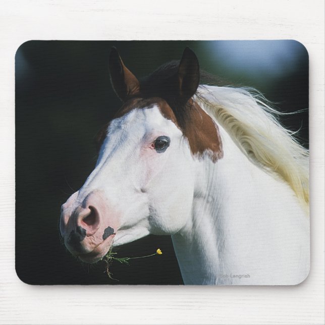 Paint Horse Headshot 3 Mouse Mat (Front)