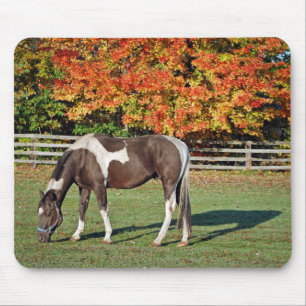 Paint Horse in fall pasture Mouse Mat