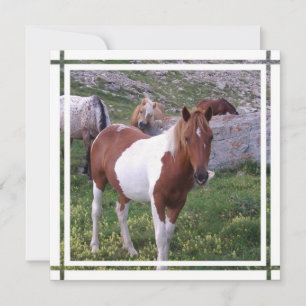 Paint Horse Invitation