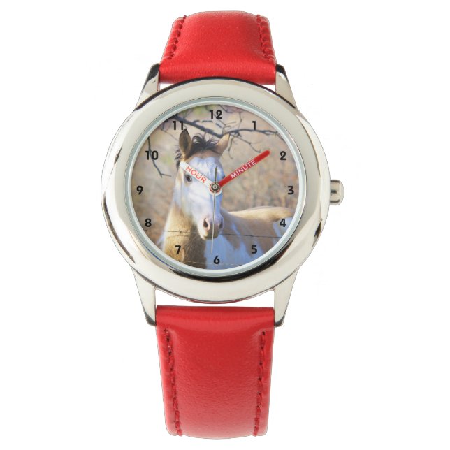 Paint Horse Kids Watch (Front)