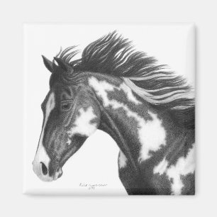 Paint horse magnet
