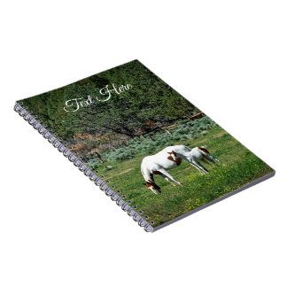 Paint Horse Mare and Foal Personalised Notebook