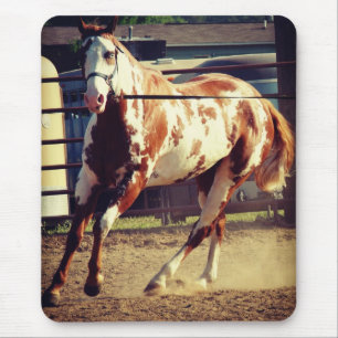 Paint Horse Mouse Mat