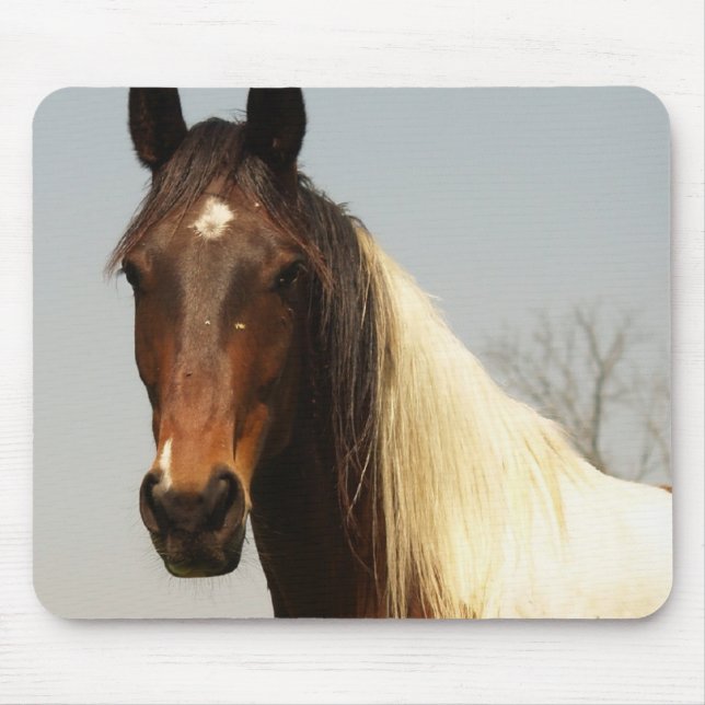 Paint Horse Mouse Pad (Front)