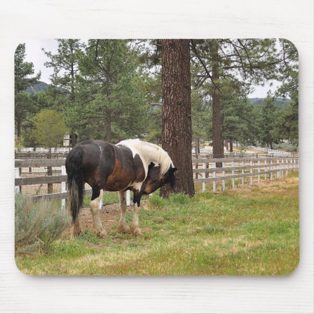 Paint Horse Mousepad (Front)