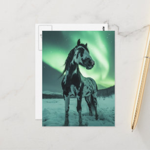 Paint Horse Northern Lights Postcard