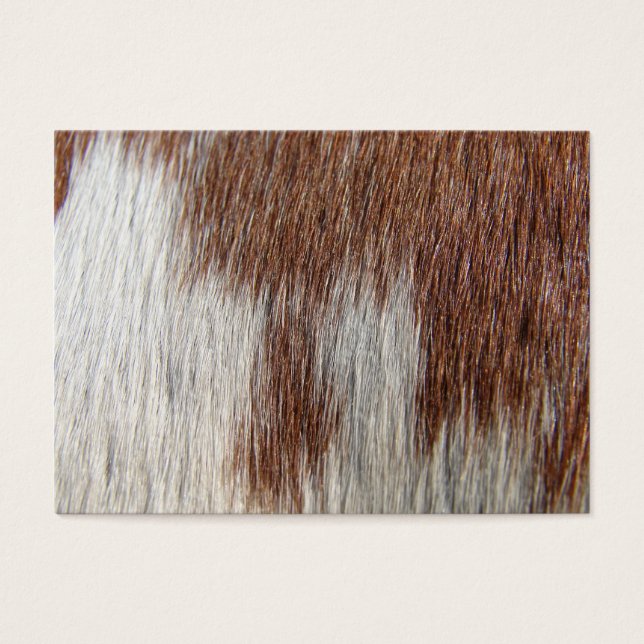 Paint Horse Pattern (Front)