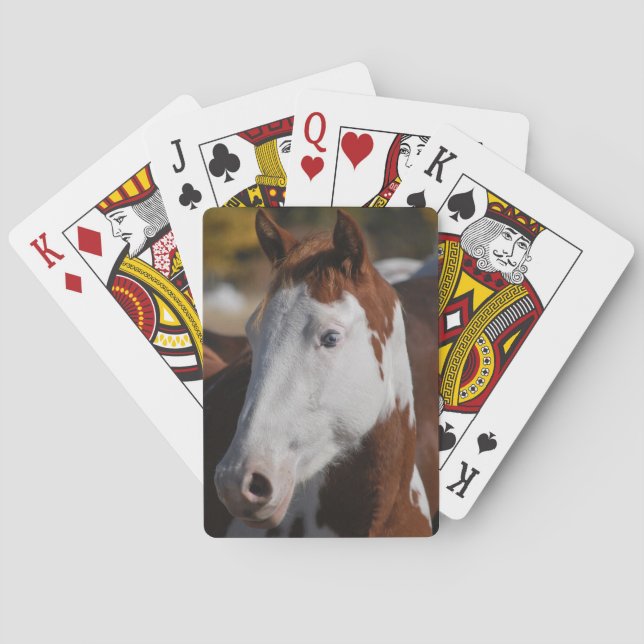 Paint Horse Piebald Playing Cards Western Ranch (Back)