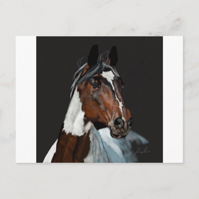Paint Horse Postcard (Front)