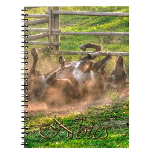 Paint Horse Rolling in Dust Funny Equine Photo Notebook (Front)