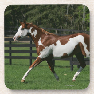 Paint Horse Running 1 Coaster