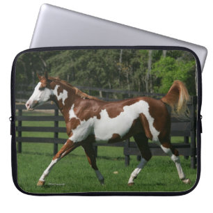Paint Horse Running 1 Laptop Sleeve