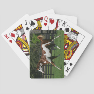 Paint Horse Running 1 Playing Cards