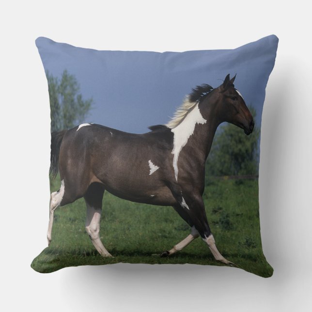 Paint Horse Running 2 Cushion (Front)
