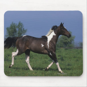 Paint Horse Running 2 Mouse Mat