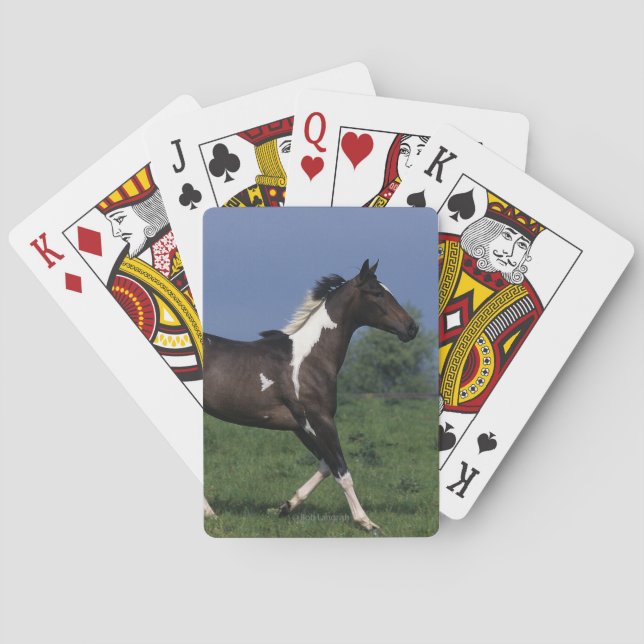 Paint Horse Running 2 Playing Cards (Back)
